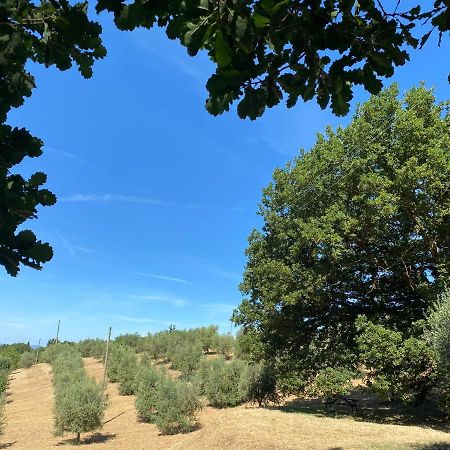 La Casina Della Quercia, Your Tuscan Oak Tree House Osteria Delle Noci Екстериор снимка