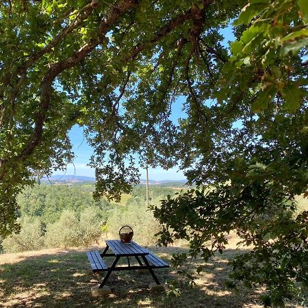 La Casina Della Quercia, Your Tuscan Oak Tree House Osteria Delle Noci Екстериор снимка