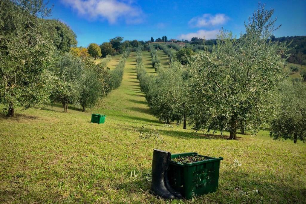 La Casina Della Quercia, Your Tuscan Oak Tree House Osteria Delle Noci Екстериор снимка
