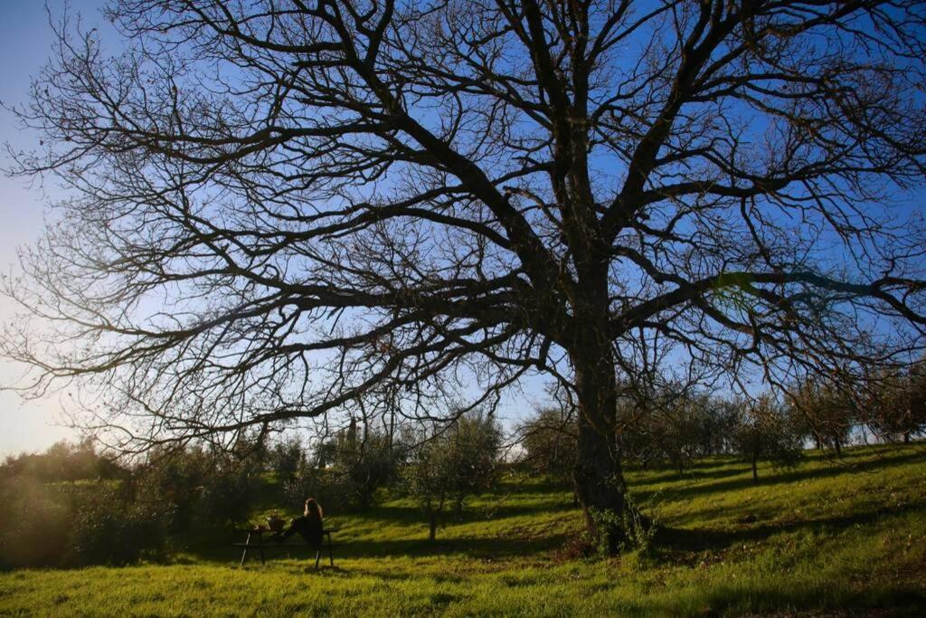 La Casina Della Quercia, Your Tuscan Oak Tree House Osteria Delle Noci Екстериор снимка