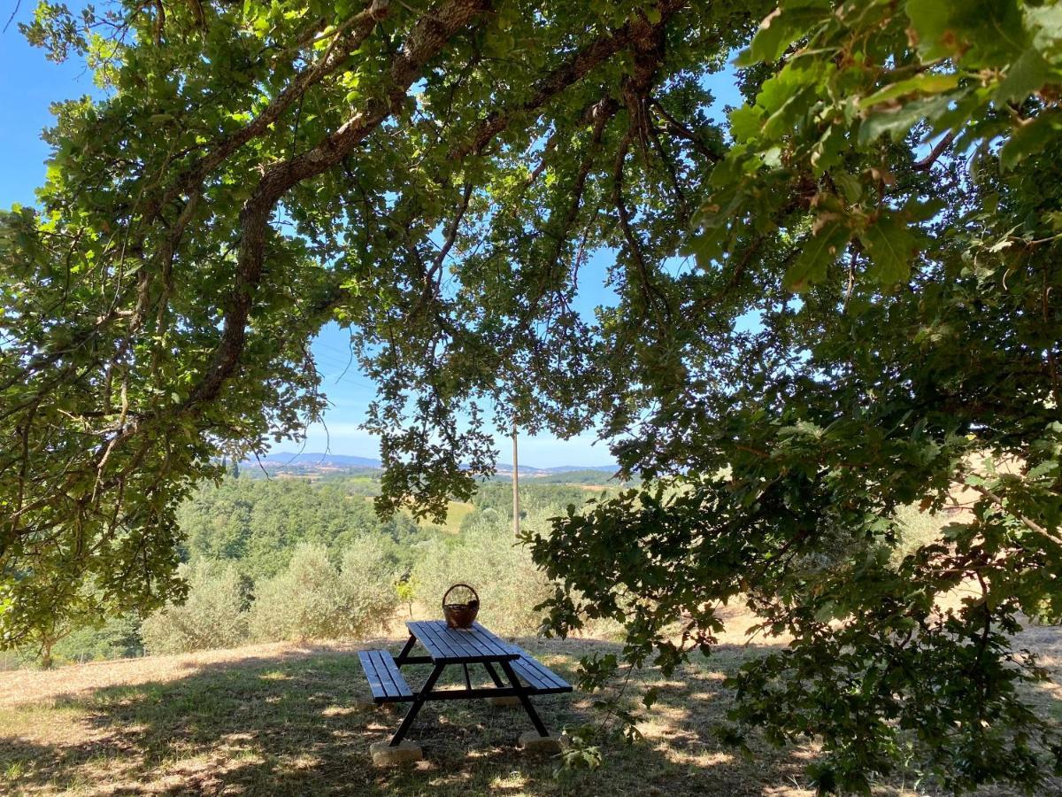 La Casina Della Quercia, Your Tuscan Oak Tree House Osteria Delle Noci Екстериор снимка